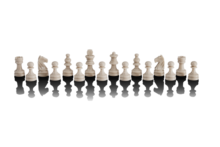 Figurensatz/Reisefigurensatz Europe Chess Champion & Karpov Schachschule